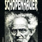 Th. Ruyssen - Schopenhauer