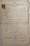 Certificat scoala de fete Simleul Silvaniei in lb maghiara 1905