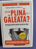 Cat de plina ti-e galeata-Tom Rath s iDonald O- Editura Allfa