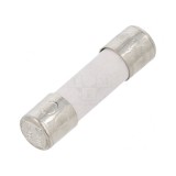 Siguranță &Icirc;nt&acirc;rziere 4A 250V Ceramică Cilindrică