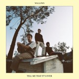 Tell Me That It&#039;s Over | Wallows