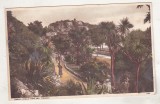 bnk cp Marea Britanie - Torquay - Terrace Walk &amp; Vane Hill - circulata 1936
