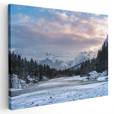 Tablou peisaj munte brazi iarna Tablou canvas pe panza CU RAMA 40x60 cm foto