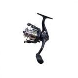 Mulineta East Shark QFC 2000