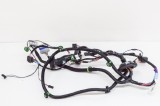 Cablaj ușă st&acirc;nga spate TESLA MODEL S 2018 OEM: 1004425-00-R 11493480