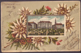 4993 - TIMISOARA, Litho, Embossed, Art Nouveau - old postcard - used - 1903, Circulata, Printata