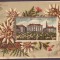 4993 - TIMISOARA, Litho, Embossed, Art Nouveau - old postcard - used - 1903