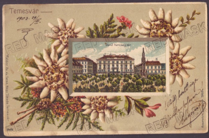 4993 - TIMISOARA, Litho, Embossed, Art Nouveau - old postcard - used - 1903