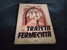 PAVOL BUJTAR - TRAISTA FERMECATA foto