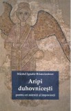 Aripi duhovnicesti pentru cei osteniti si impovarati - Sfantul Ignatie Briancianinov