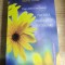 Pasi catre tine insuti - Puterea frumusetii interioare - Maria Timuc (Editura Dharana, 2015)