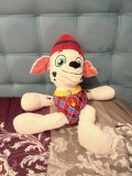 Plus Paw Patrol