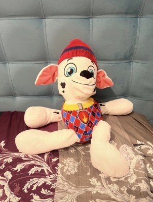 Plus Paw Patrol foto
