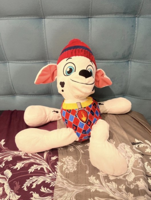 Plus Paw Patrol