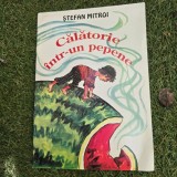 Calatorie intr-un pepene - Stefan Mitroi