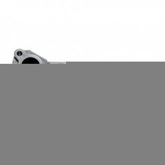 Galerie Admisie Briggs-Stratton 699644 (Originala)