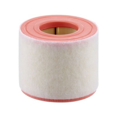 Filtru aer Mann-Filter C15010 foto