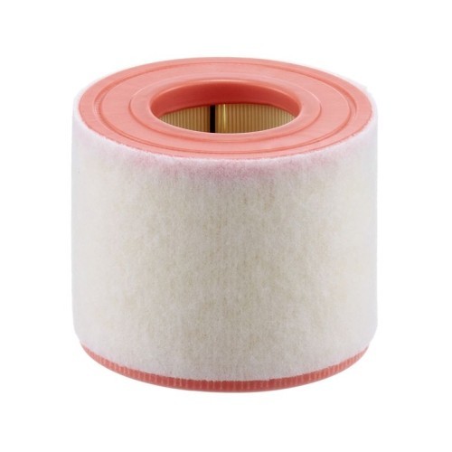 Filtru aer Mann-Filter C15010