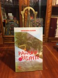 Gheorghe Roman - Pasuni risipite. Nuvele (1998 - Ca noua!)
