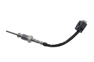 Senzor temperatura filtru particule Bmw Seria 3 E90, E91 325d, 330d 2005-2013, Seria 5 E6 525d, 530d 2005-2010, X3 E83 3.0d 160kw 2005-2008, X5 E70 3 foto
