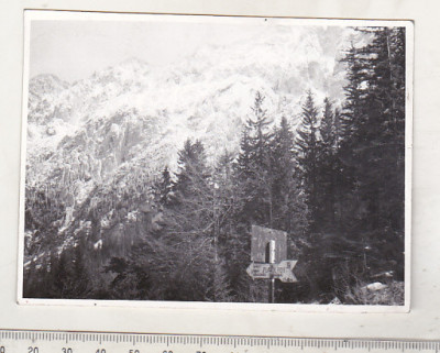 bnk foto Piatra Craiului - Spre Cabana Plaiul Foii - 1973 foto