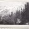 bnk foto Piatra Craiului - Spre Cabana Plaiul Foii - 1973