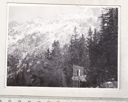 bnk foto Piatra Craiului - Spre Cabana Plaiul Foii - 1973