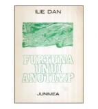Ilie Dan - Furtuna unui anotimp - versuri - 117162