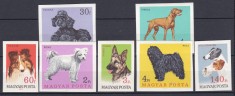 DB1 Fauna Domestica 1967 Ungaria Caini de Rasa 7 v. MNH NDT