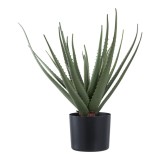 Aloe Vera műn&ouml;v&eacute;ny, z&ouml;ld 51 cm