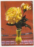 Bnk cp Felicitare - Flori - 492/73 - necirculata - marca fixa