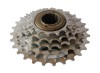 Pinion Spate Bicicleta 6V Nichel Filet MXR50131.1