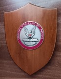 D16 27 - Placheta - tematica militara - Compania Geniu Mantova, Europa