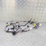 Cablaj Usa Stanga Spate Tesla Model X 2018 OEM 2032441-00-A Original