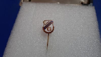 insigna Gloria Bistrita foto