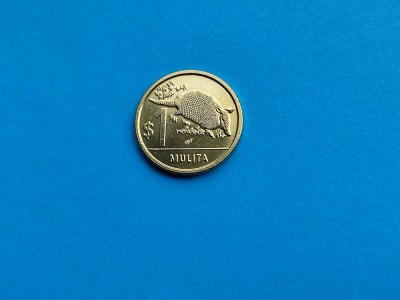 1 Mulita 2019 Uruguay-AUNC++UN foto