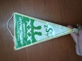 FANION CLUB AZS , INTERESANT