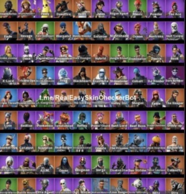 Cont fortnite:!!! add discord:zaria11_ foto
