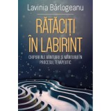 Cumpara ieftin Rataciti in Labirint, Lavinia Barlogeanu, Herald