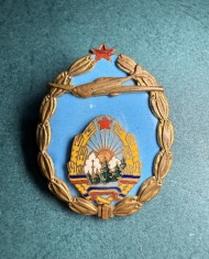 Insigna Pilot RPR absolvent