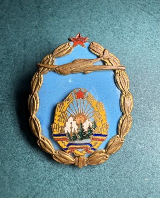 Insigna Pilot RPR absolvent foto