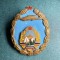 Insigna Pilot RPR absolvent