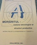 MORARITUL SISTEME TEHNOLOGICE SI STRUCTURI PRODUCTIVE