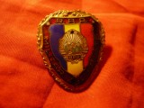 Insigna Militar de Frunte RPR , metal si email , cu surub ,h=3,8cm