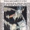 bnk ant Antologia science-fiction Nemira `96 (SF)