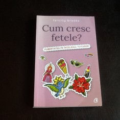 Cum cresc fetele? Pubertatea pe intelesul tutror - Felicity Brooks