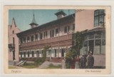 Busteni - Vila Rucerean
