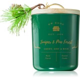 DW Home Farmhouse Juniper &amp; Pine Forest lum&acirc;nare parfumată 445 g