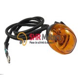 23. Semnalizator stanga spate Linhai Worker