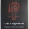 ODA CALIGRAFULUI SAU FICTIUNILE ARTISTULUI LA MATURITATE de ION COCORA , 2004